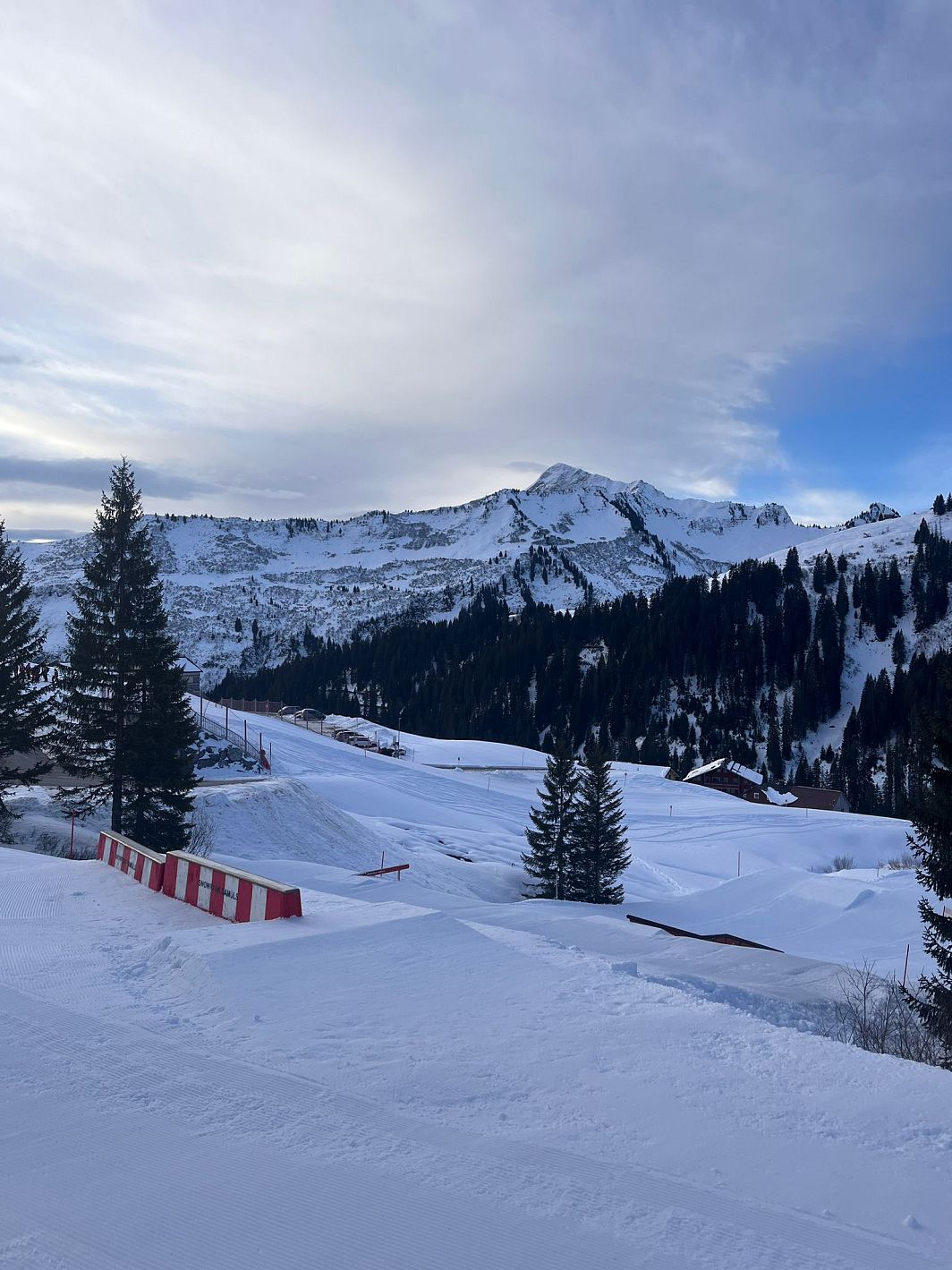 WhatsApp Image 2026-01-15 at 09.22.52