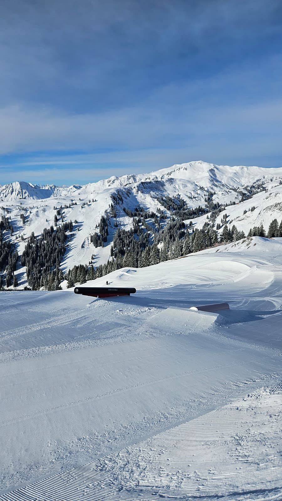 WhatsApp Image 2026-03-16 at 08.27.13