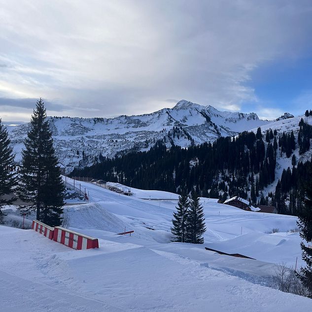 whatsapp-image-2026-01-15-at-09